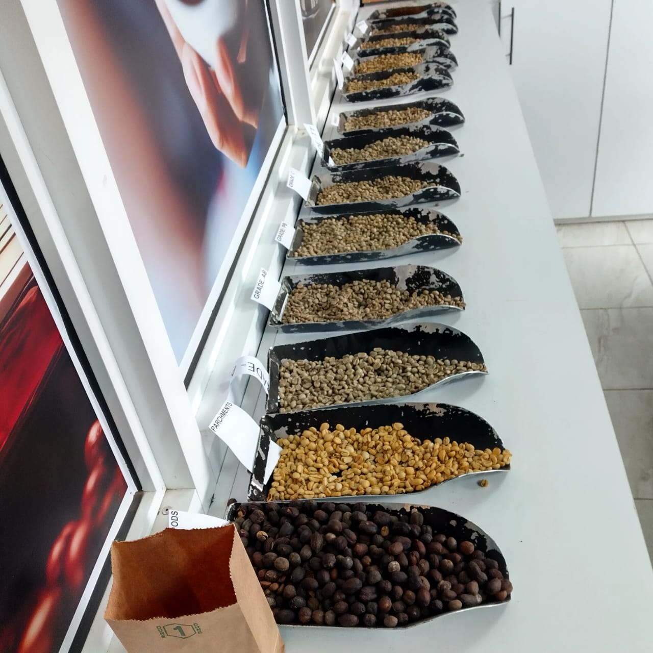 Coffee sacks